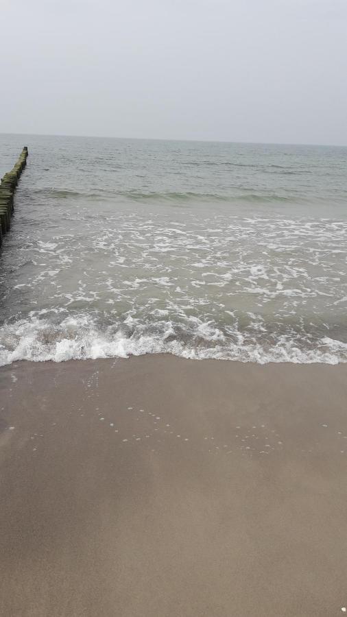 Strandlaeufer Appartement
